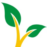 Danny Yates Landscape Nursery - Landscape Architects in Cape Coral
