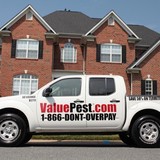 Valuepest.com - Pest Control in Tampa