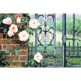 A Plus Fence of the Treasure Coast - Vero Beach - Fences & Gates in Vero Beach