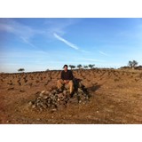Spanish Wine Imports - Wholesale in Tampa
