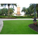 Rountree Sod Service - Lawn Services in Jacksonville