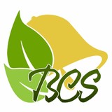 Bellwether Construction Service - Kitchen Cabinets in Cape Coral