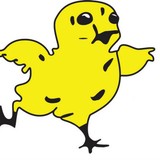 Jim Dandy Feed & Supply - Pet Stores in Tampa