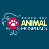 North Bay Animal & Bird Hospit - Veterinarians/Vets in Tampa