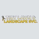 Tidy Lawn & Landscaping Service Inc - Landscaping in Jacksonville