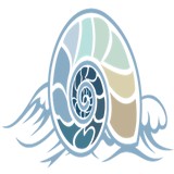 Montessori Tides Childrens Foundation Incorpora - Other in Atlantic Beach