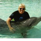 Blue Dolphin Soap Company, LLC - Other in Sebastian