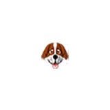 Puppies Galore & More - Pet Stores in Jacksonville