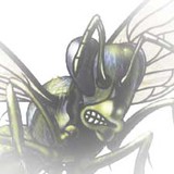 Bee Screaming Inc - Other in Palm Coast