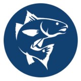 Captain Dp Charters - Other in Cantonment
