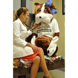 Murabella Animal Hospital - Veterinarians/Vets in Jacksonville