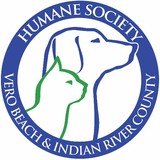 Humane Society Thrift Shop - Other in Sebastian