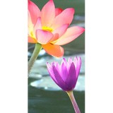 Silk Flower Depot - Wholesale in Tampa