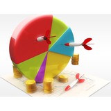 Payless Website - Web Design & Development in Cape Coral