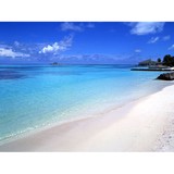 Travel Discoveries - Travel Agents in Tampa