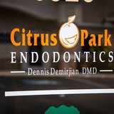 Demirjian Dennis DDS - Dentists in Tampa