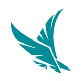 Adesa Florida LLC - Car Accessories in Tampa