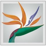 Besthotelsresorts.com - Travel Agents in Jacksonville