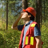 Sebring Tree Service - Other in Sebring
