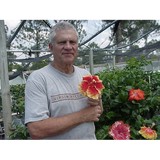 Exotic Hibiscus Inc - Other in LaBelle