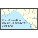 Marchman Act Florida - Counseling & Mental Health in Jacksonville