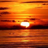 First Sun Financial - Financial Services in Jacksonville