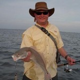 Tampa Information Technology Specialists LLC - Other in Seffner
