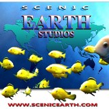 Scenic Earth Studios Fine Art Gallery - Other in Mount Dora