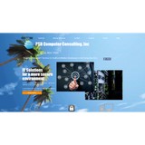 Psd Computer Consulting Inc - Computers in Tampa