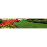 New Leaf Lawns & Landscapes - Landscape Architects in Jacksonville
