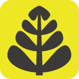 New Virtual Marketing - Web Design & Development in Jacksonville