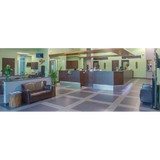 Angel Animal Hospital-Boarding - Veterinarians/Vets in Bonita Springs