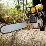 Hancock's Tree Grinding Co - Tree Services in Clermont