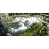 Tours By Nona Inc - Other in Eustis