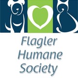 Flagler County Animal Control - Pest Control in Palm Coast