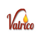 Valrico Ventures - Other in Seffner