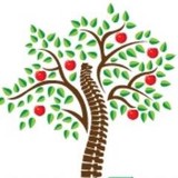 Cherry Family Chiropractic - Chiropractors in Tampa