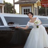 Actionville Limousines, Inc - Limos in Jacksonville