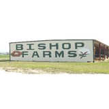 Bishop Straw Farms Inc - Other in Marianna