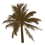 Pelican Landing Dental - Dentists in Bonita Springs