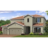 Shrubs & Grasses - Landscape Architects in Mount Dora