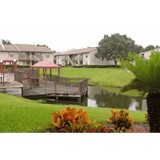 Swan Lake Apartments - Apartments in Tampa