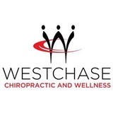 Serrano Chiropractic Services Inc - Chiropractors in Tampa