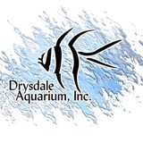 Drysdale Aquarium Inc - Other in Lutz