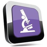Stonesifer Kurt J MD - Doctors in Tampa
