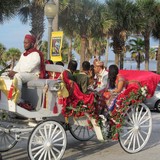 Horse & Buggy Daze - Amusement Parks in Jacksonville