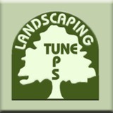 Landscaping Tune-Ups Inc - Landscape Architects in Tampa