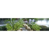 Ted's Pool Repair & Leak - Other in North Fort Myers