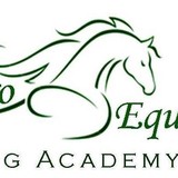 Vero Equine Riding Club - Other in Vero Beach