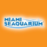 Marine Exhibition Corp - Other in Key Biscayne